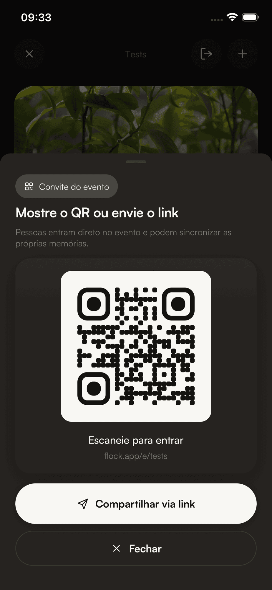 QR do Flock pronto para compartilhar com convidados