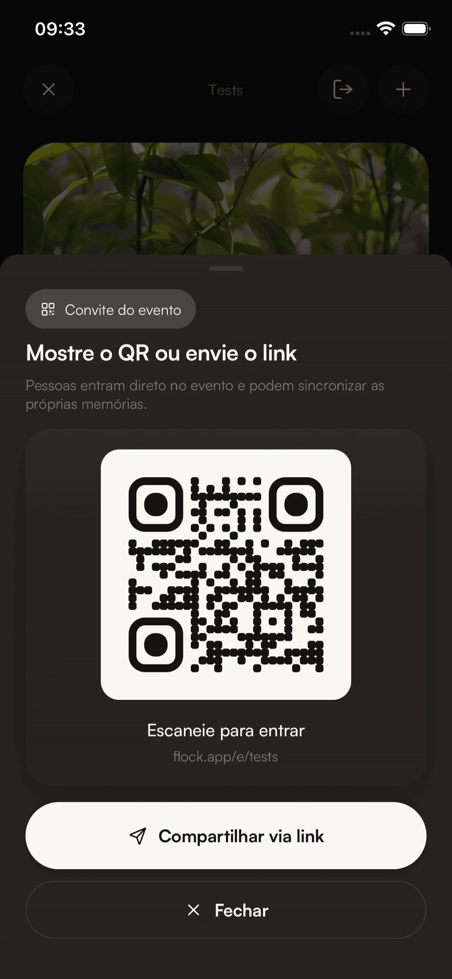 Tela do Flock mostrando o QR do evento pronto para compartilhar